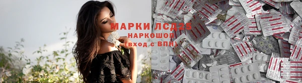 сатива Богородицк