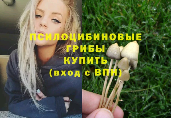 эйфоретик Богородск