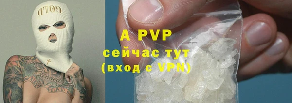mdpv Богданович