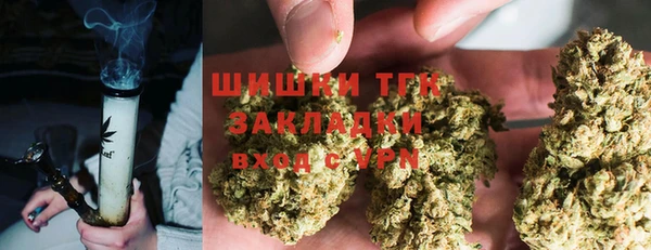 mdpv Богданович