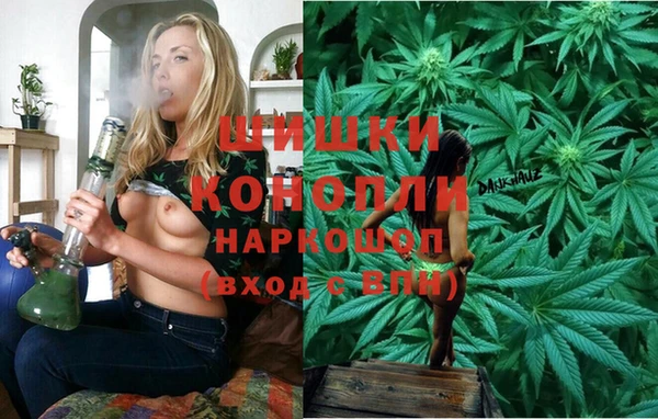 mdpv Богданович